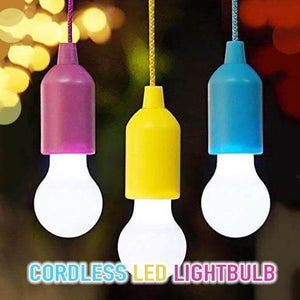 Portable Cordless LED Lightbulb