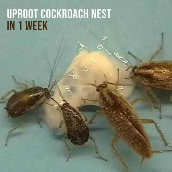 Uproot Cockroach Gel